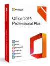 Office 2019 Professional Plus 32/64 Bit 2/PC (Windows) No MAC